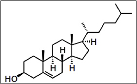 Holesterol