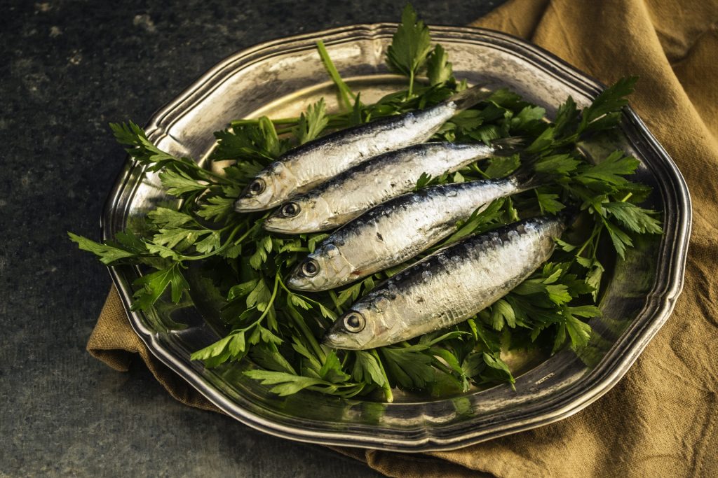 sardine naslovna