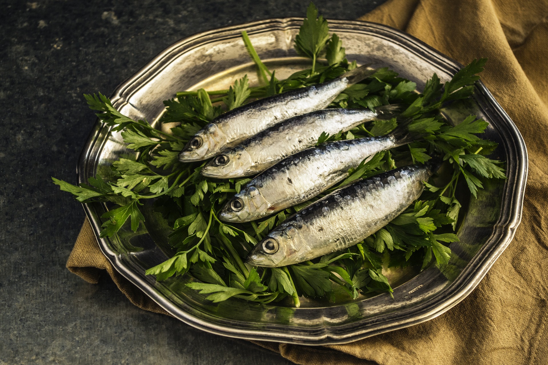 sardine naslovna